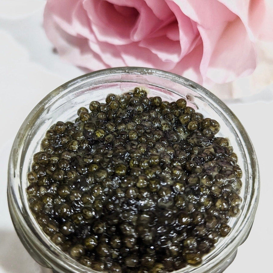 RealGourmetFood.com Caviar Sevruga Classic Grey Caviar