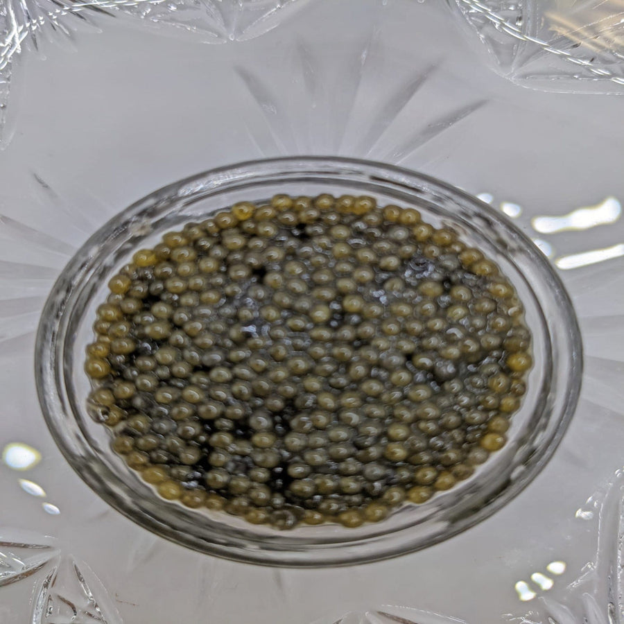 RealGourmetFood.com Caviar American Paddlefish Caviar USA