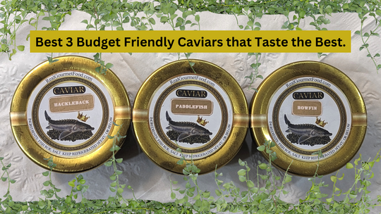 Best 3 Budget Friendly Caviars that Taste the Best- Hackleback, Paddlefish, Bowfin