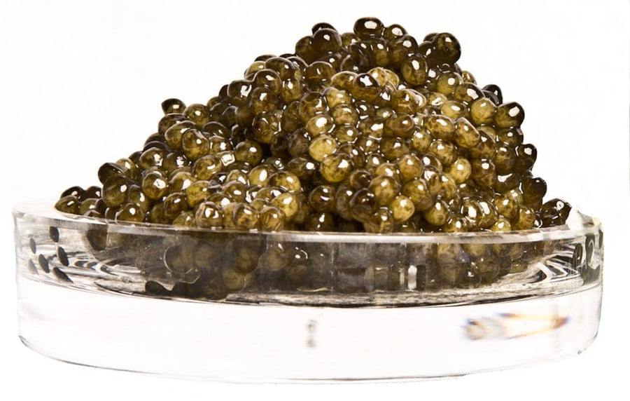 Real Gourmet Food Caviar Royal Imperial Sturgeon Caviar,  Kaluga Hybrid