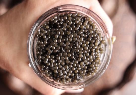 Premium Beluga Hybrid Caviar- rich flavor with creamy texture sourced by Real Gourmet Food 