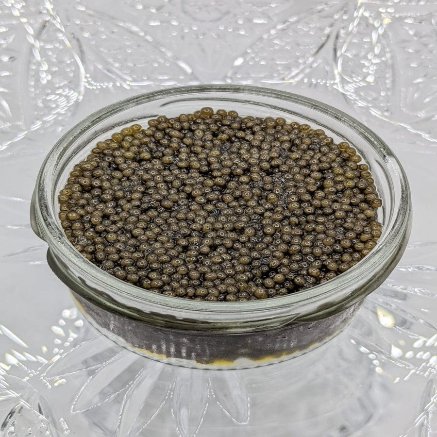 RealGourmetFood.com Caviar Sevruga Classic Grey Caviar